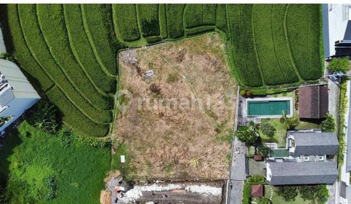 LAND IN CANGGU BERAWA, 700 METERS FROM THE BEACH WITH RICE FIELD VIEW