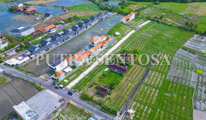 Land Plot Villa Seseh Badung Bali 1