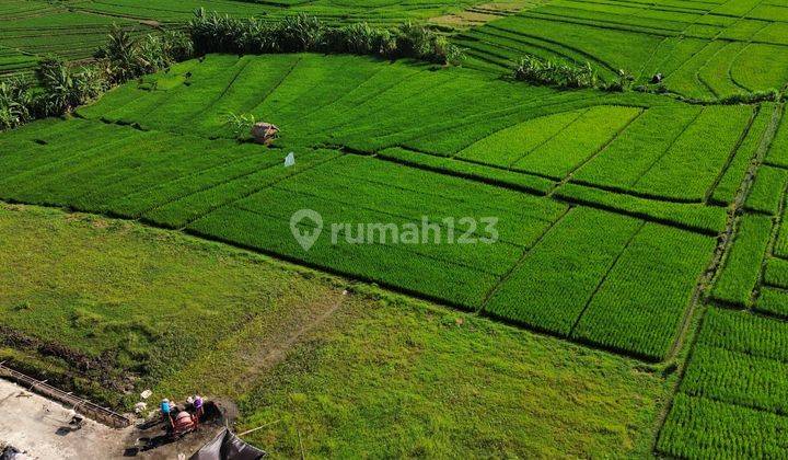 Tanah Canggu Pererenan Pantai Kedungu 11