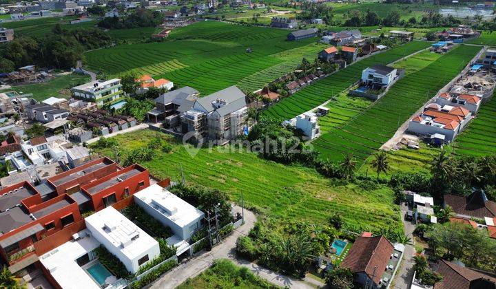 Pererenan Land Near Beach Luxurious Environment Rice Field View Cheapest 1