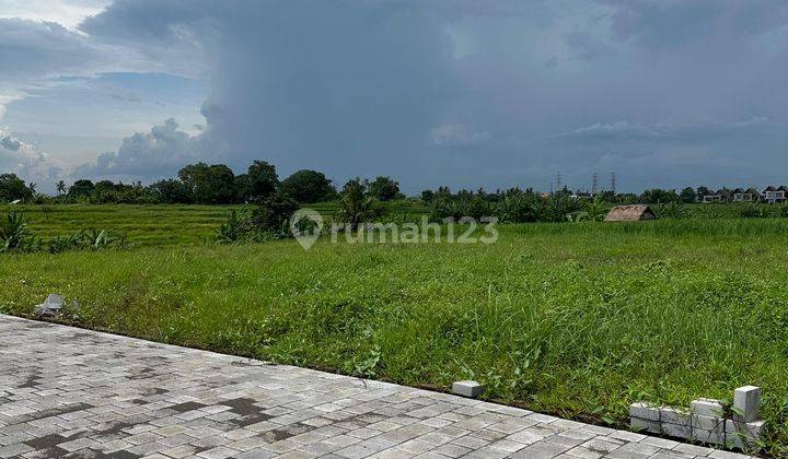 JUAL TANAH DEKAT CANGGU PANTAI KEDUNGU BALI 6