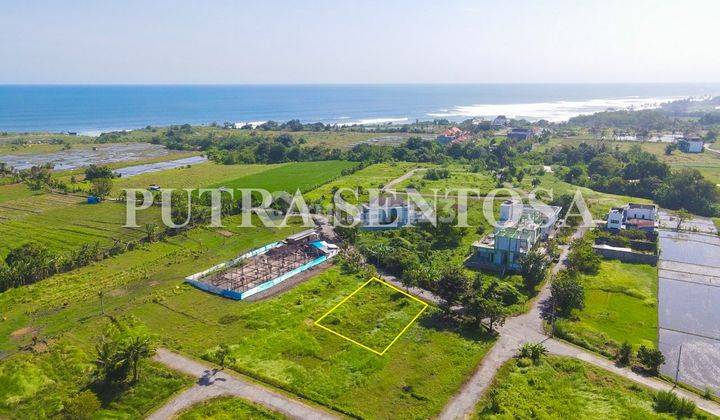 Premium Land Kedungu View Rice Fields Close to the Beach 2