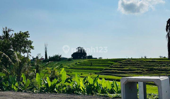 Land For Sale Nyanyi Kedungu Ricefield View