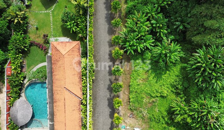 LAND FOR LEASE (LAND FOR RENT) KEDUNGU LAND FOR LEASE (LAND FOR RENT) KEDUNGU