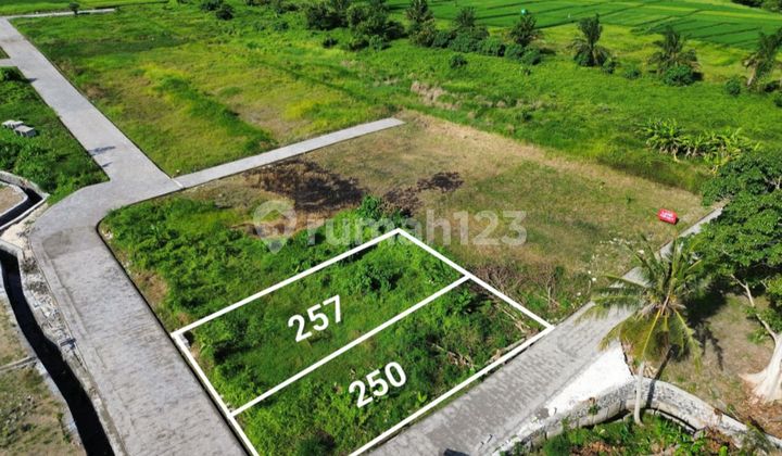 Kedungu Beach Land One Gate System Kedungu Beach Land One Gate System
