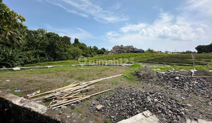 Canggu Jual tanah kavling villa dekat canggu 2