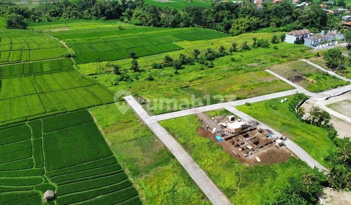 TANAH COCOK UNTUK VILLA DEKAT CANGGU PERERENAN
