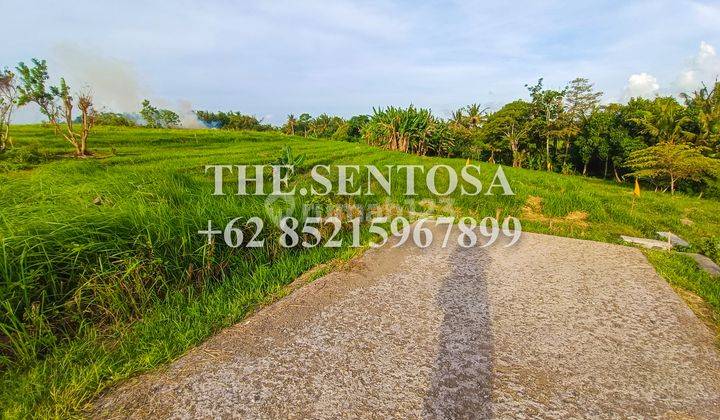 Freehold Land For Sale In Kedungu, Nearby The Beach  2