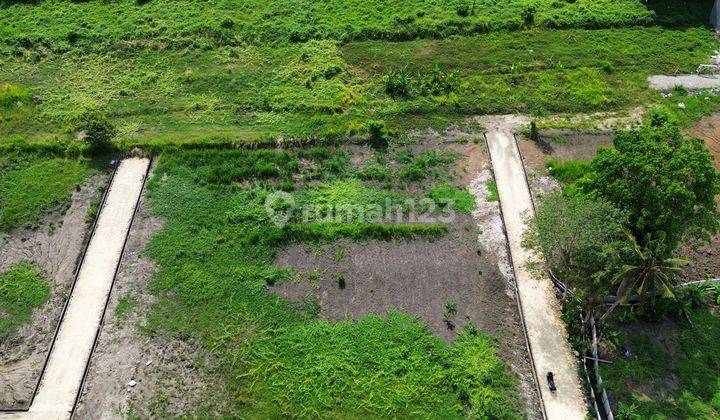 Land for sale in Kedungu 2