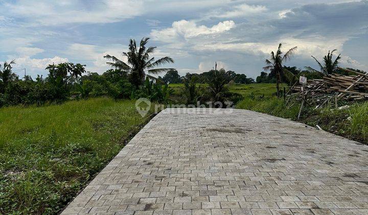 JUAL TANAH DEKAT CANGGU PANTAI KEDUNGU BALI 5