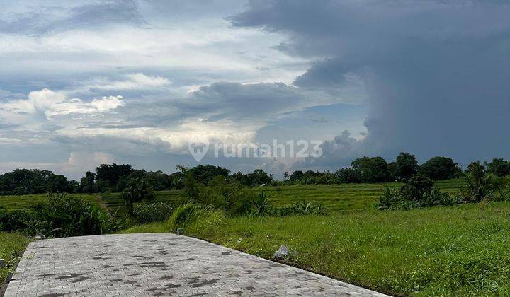 JUAL TANAH DEKAT CANGGU PANTAI KEDUNGU BALI 8