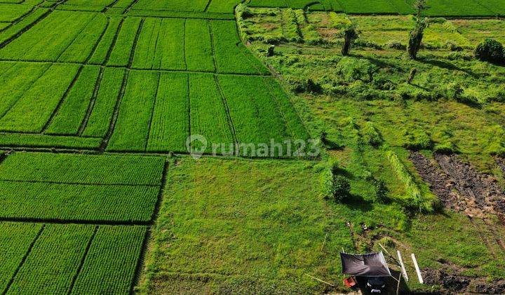 Tanah Canggu Pererenan Pantai Kedungu 8