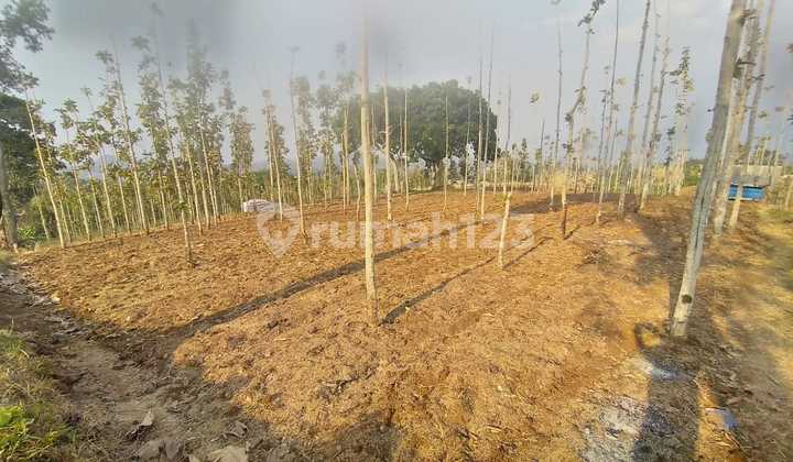 KAVLING LUAS  STRATEGIS SIAP BANGUN COCOK UNTUK PETERNAKAN DAN AGROBISNIS DI ARJASARI BANDUNG