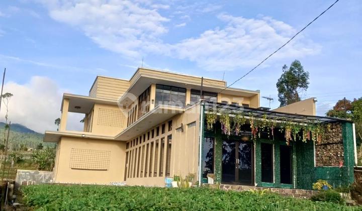 Villa Cantik Nan Asri Lingkungan Nyaman Sejuk Siap Huni di Ciwidey Villa Cantik Nan Asri Lingkungan Nyaman Sejuk Siap Huni di Ciwidey