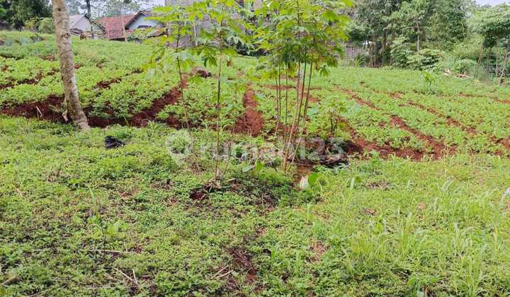 KAVLING LUAS STRATEGIS SIAP BANGUN DI BANJARAN BANDUNG