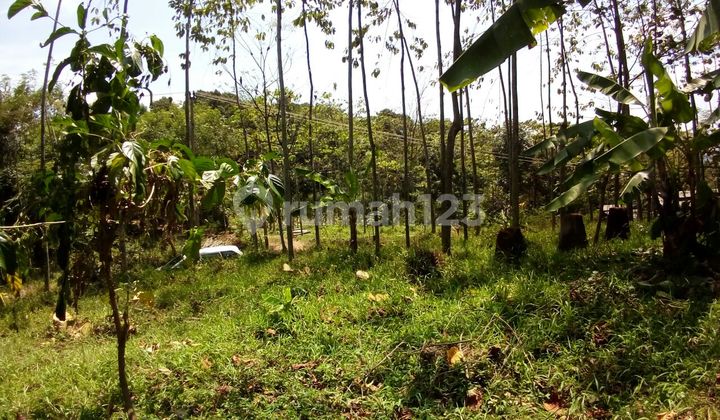 KAVLING LUAS STRATEGIS POSISI BAGUS SIAP BANGUN DI SUBANG CIJAMBE