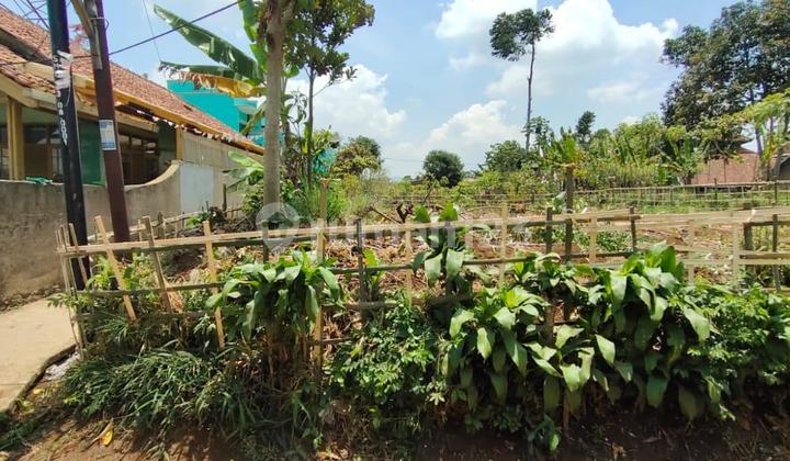 Quick Sale Cheap Lucky Land at Cisumdawu Toll Exit Quick Sale Cheap Lucky Land at Cisumdawu Toll Exit