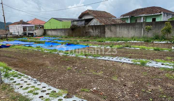 KAVLING LUAS LINGKUNGAN SEJUK NYAMAN SIAP BANGUN DI MAINROAD LEMBANG BANDUNG KAVLING LUAS LINGKUNGAN SEJUK NYAMAN SIAP BANGUN DI MAINROAD LEMBANG BANDUNG