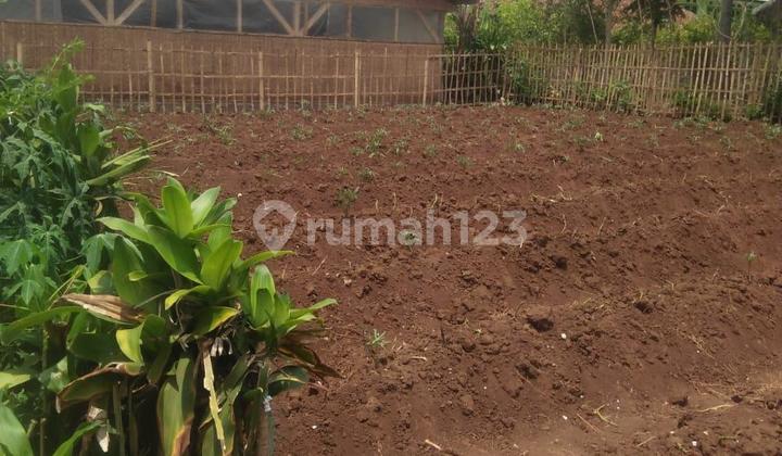 Quick Sale Cheap Lucky Land at Cisumdawu Toll Exit Quick Sale Cheap Lucky Land at Cisumdawu Toll Exit