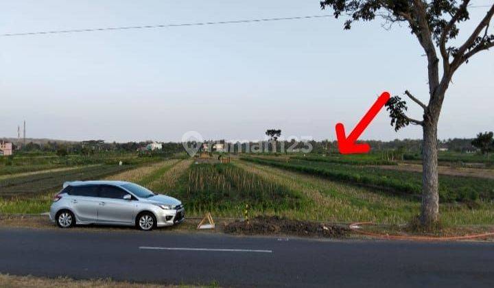 Tanah Sawah Nilai Njop Dekat Bandara Yogya International Airport