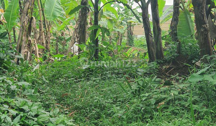 Dijual Tanah Komplek Agricon Tajur, Sindangsari Bogor 2