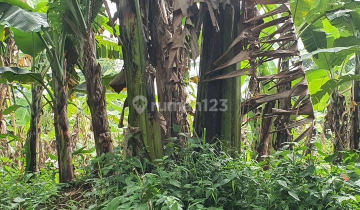 Dijual Tanah Komplek Agricon Tajur, Sindangsari Bogor 3