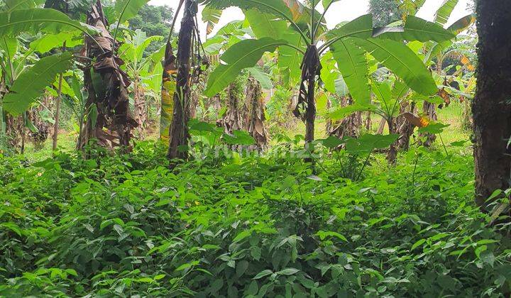 Dijual Tanah Komplek Agricon Tajur, Sindangsari Bogor 9