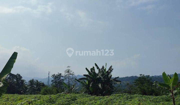 Dijual Rumah Minimalis Perumahan Ambar Bogor Regency 11