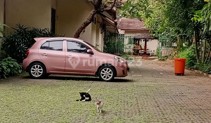 Rumah Halaman Luas Ring 1 Menteng Jakarta Pusat 2