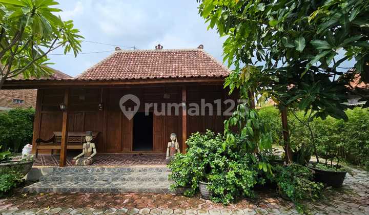 Joglo House with Teak Wood Ambiance Only 1.5 Km from Sragen Toll Exit