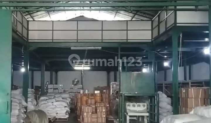 Warehouse 8, dadap bangus, and ready to use.