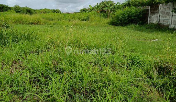 Tanah di Kapuk Kamal Jakarta Barat Sangat Cocok Untuk Buka Usaha 9