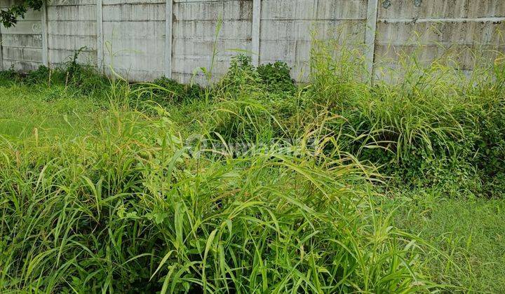 Tanah di Kapuk Kamal Jakarta Barat Sangat Cocok Untuk Buka Usaha 11