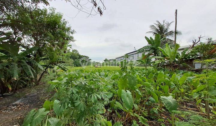 Tanah Bagus di Serang Banten Lokasi Strategis Cocok Buat Usaha 1
