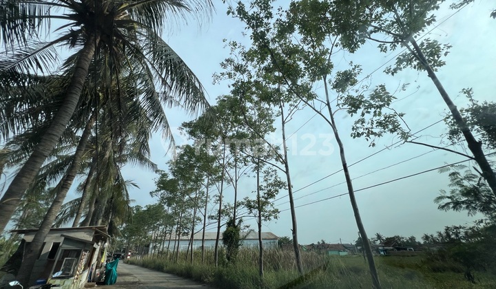 Tanah Bagus Siap Bangun Di Pakuhaji Dekat Denga Pergudangan Laksana Siap Bangun Izin Industri