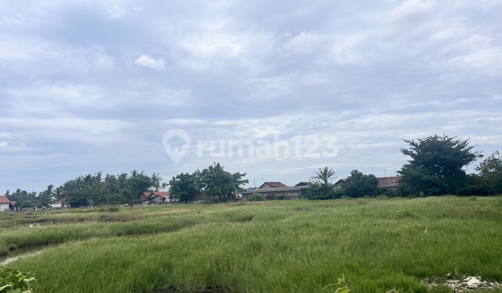 Tanah Bagus Di Pakuhaji Kawasan Yungsen Siap Bangun Imb Industri Tanah Bagus Di Pakuhaji Kawasan Yungsen Siap Bangun Imb Industri