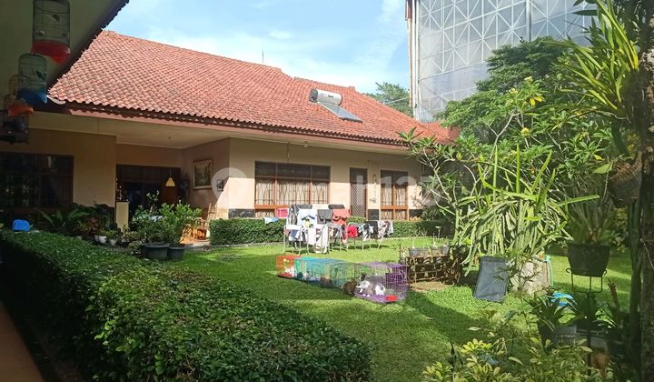 Sukajadi - Rumah Vintage Sayap Sukajadi, Bandung, Taman Luas Bikin Adem Sukajadi - Rumah Vintage Sayap Sukajadi, Bandung, Taman Luas Bikin Adem