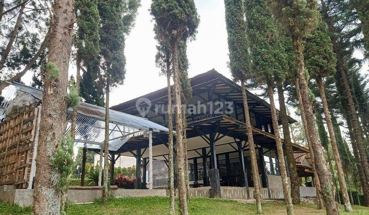 Tempat Usaha Main Road Punclut, Ciumbuleuit Atas, Bandung 1
