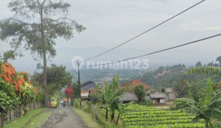 Lembang - Dijual Cocok untuk Villa dan Berkebun Tanah Subur View Bandung dan Punclut di Pagerwangi, Lembang, Bandung Lembang - Dijual Cocok untuk Villa dan Berkebun Tanah Subur View Bandung dan Punclut di Pagerwangi, Lembang, Bandung