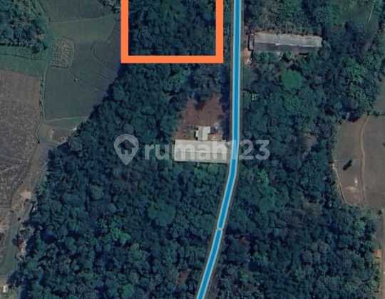 Garden Land in Kampung Lima Ratus, Cibogo, Subang, West Java, Suitable for Gardening and Livestock Farming