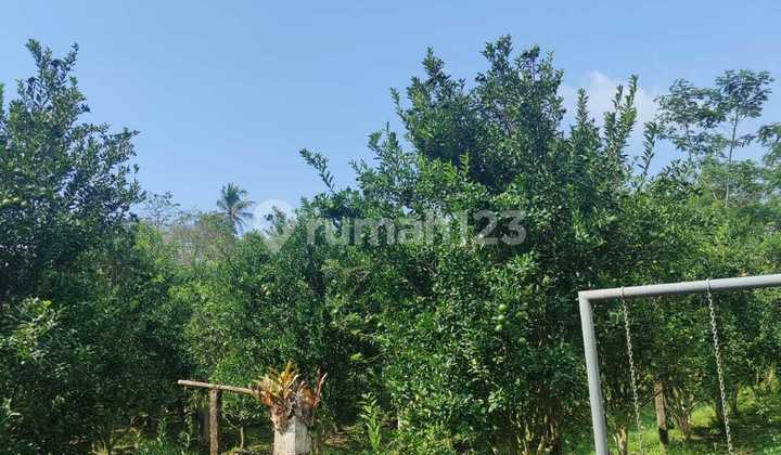 Rumah Villa di Jalan Cagak Subang 1