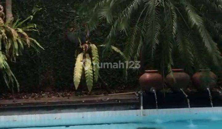 Rumah Nyaman Ada Kolam Renang Di Daerah Ragunan Jakarta Selatan 1