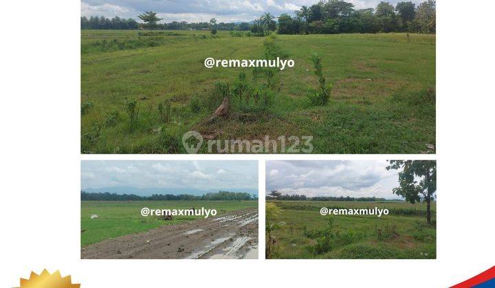 Hook Dijual Lahan Industri Strategis Seluas 11 Ha 1