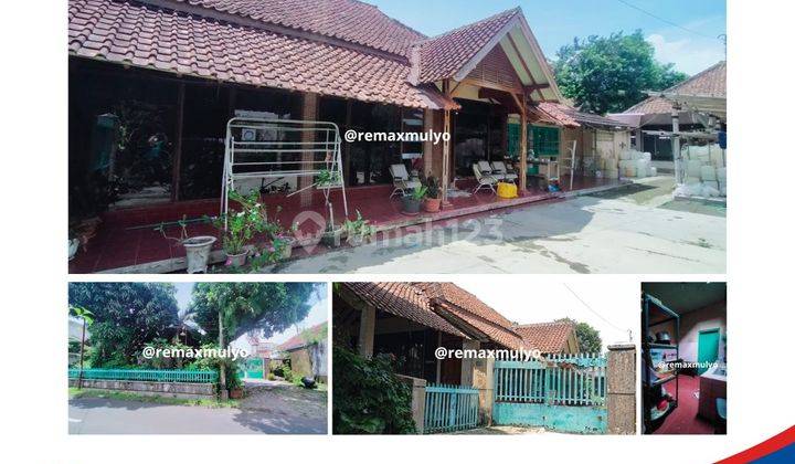 Hot Sale Dijual Rumah Tanah Strategis 1