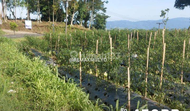 Dijual Tanah Luas Area Wonosobo Akses Mudah 1
