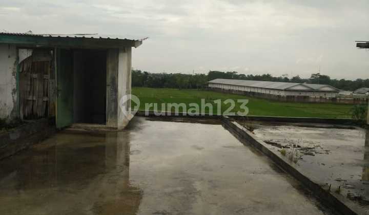 Sewa Ruko Murah Karanglewas Purwokerto 5