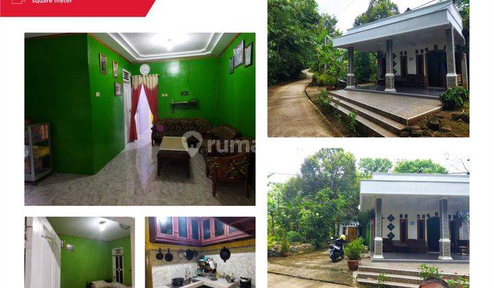 Hot Sale Dijual Rumah Besar Suasana Pedesaan 1