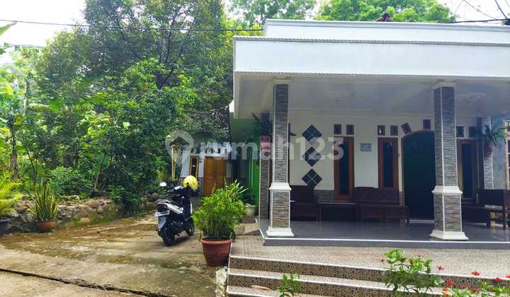 Hot Sale Dijual Rumah Besar Suasana Pedesaan 3
