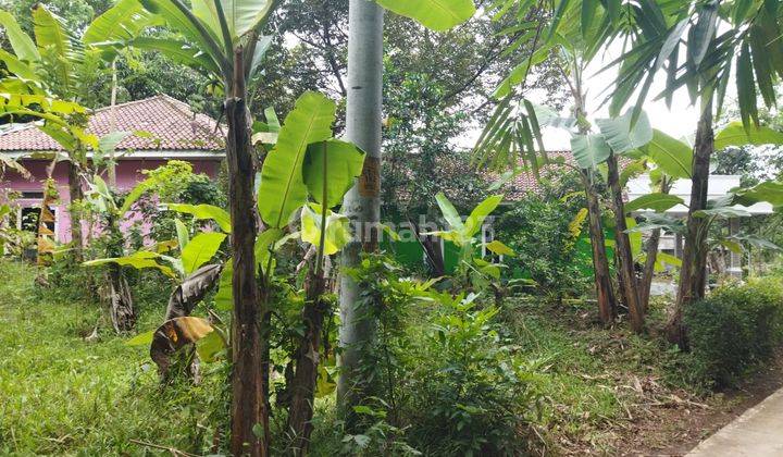 Hot Sale Dijual Rumah Besar Suasana Pedesaan 8