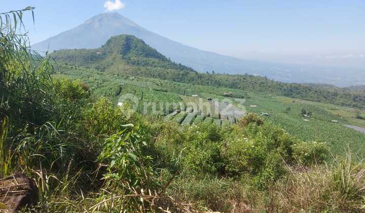 For Sale Cheap! Wonosobo Industrial and Tourism Land For Sale Cheap! Wonosobo Industrial and Tourism Land